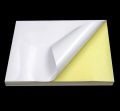 True-Ally Sticker Self-Adhesive Glossy Photo Paper A4 Size 200 GSM for Inkjet Printer (White) Dries Quickly DIY Sticker Printing Label Art (A4-20 Sheets) Unruled A4 200 gsm Photo Paper  (Set of 1, White). 