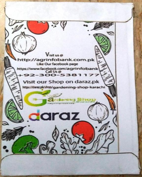 Winter%20flower%20Salvia%20Farinacea%20-%20Image%207