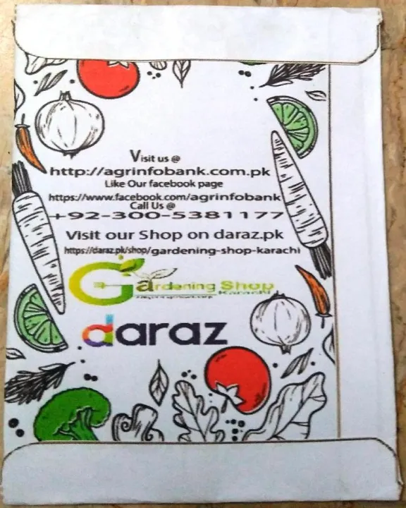 Winter%20flower%20Salvia%20Farinacea%20-%20Image%207