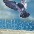 Anti Bird Spikes – Pigeon Spikes 12 Inches Strip. 
