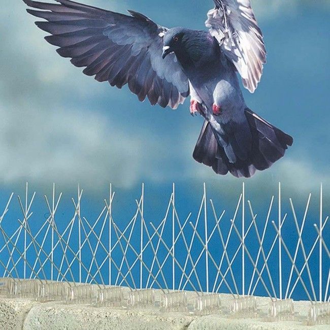 Anti%20Bird%20Spikes%20%E2%80%93%20Pigeon%20Spikes%2012%20Inches%20Strip%20-%20Image%205