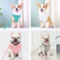Soft Padded Chihuahua Yorkie Dog Cat Harness Leash Set Warm Winter Pets Puppy Clothes Pug French Bulldog Clothing For Small Dogs - White - S. 