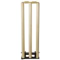 Max Sports Cricket Wooden Spring Back Stump with free Bails in premium quality.ss. 