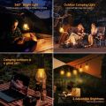 Rechargeable LED Lamp Bulb, Emergency Camping Lights with Clip Hook, Mini Portable Camping Light, Portable Camping Lantern with Hook, Outdoor LED String Bulb, Waterproof Type C Charging Camping Lantern. 