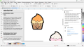 CorelDRAW Graphics Suite 2021 for Lifetime. 