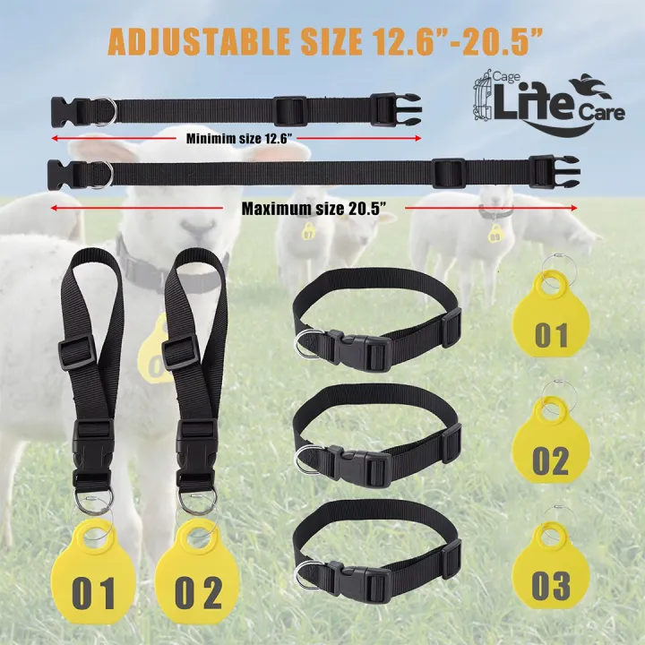 Goat%20Neck%20Tags%20+%20Collar%20Set%20(%20Plan%20Tags%20no%20Numbering%20Mention%20)%20Kisi%20Bhi%20Marker%20Se%20Ap%20Number%20Lihk%20Sahkte%20Hain%20-%20Image%206
