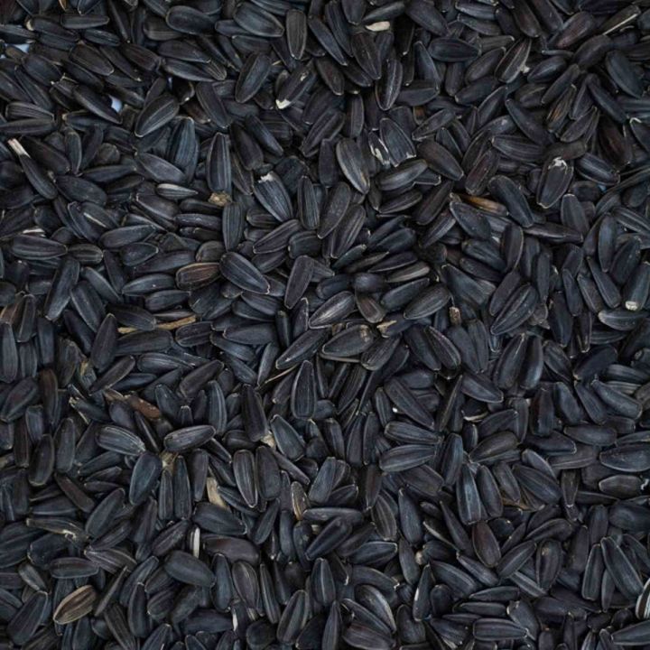 Sunflower Seeds Black Suraj Mukhi 1 Kg