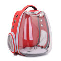 Pet Backpack - Mesh Breathable Puppy Carrier - Transparent Design Outdoor - Travel Bag. 