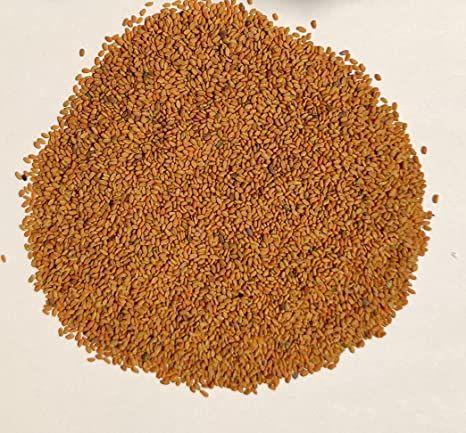 300+%20Methi%20/%20Fenugreek%20Vegetable%20Seeds%20-%20High%20Germination%20Rate%20-%20Image%204