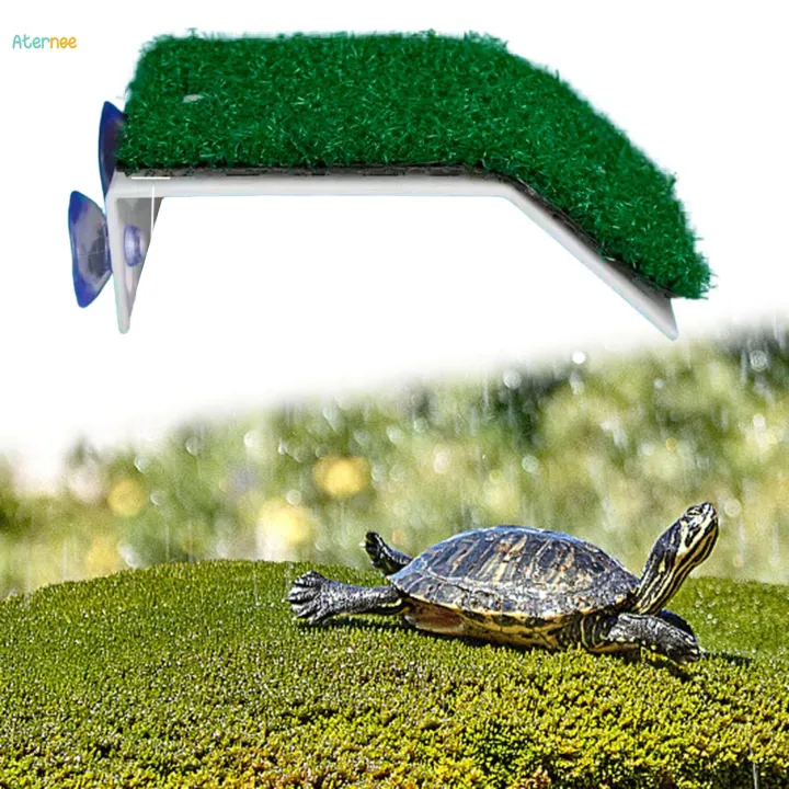 Turtle%20Resting%20Basking%20Platform%20Aquatic%20Reptile%20Ramp%20for%20Amphibians%20Semi%20Aquatic%20Animals%20Terrapin%20-%20Image%203
