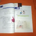 2 pcs/HSK Standard Course 5b SET - Textbook +Workbook (Chinese and English Edition). 
