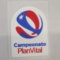 2022 New 1 2 3 4 5 6 7 Cup South American Flocking Iron Football Badges Soccer Patches Campeonato PlanVital Transfer Badges. 