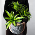 36cm 3 Heads Artificial Palm Tree Plastic Bamboo Branch Tropical Potted Plants Grass For Home Desktop Plant Wall Decoration. 