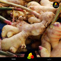 Premium Organic Ginger Powder (Sonth) - 170g Pure & Natural Dried Adrak Powder for Tea, Cooking & Weight Loss. 