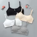 Bra For Girls Young Student Sports Underwear 12-16 Years Old 100% Cotton Tank Tops Young Children Lingerie Teenagers Clothing. 