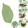 Cute Sticky Notes Paper Leaves Design Stickers Note Sticker Paper Memo Pad Stationery (200 sheets) -  NKS. 