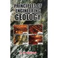 Principles of Engineering Geology by K.M Bangar. 