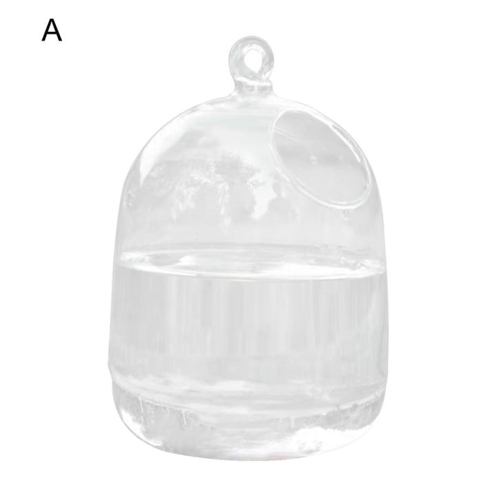 Vase Fishbowl Transparent Hanging Glass Creative Decor Fish Tank for Living Room