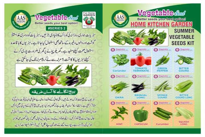 Summer%20Vegetables%20Seeds%20Kit%20for%20Home%20Garden%2012%20In%201%20Pack%20-%20Image%203
