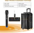LT-125 2x Universal Wireless Microphone Professional Handheld Mic System + Receiver Karaoke for mobile, PC, DSLR, Camera HD Wirelss Handy Microphone with reciever for Mobile and PC Compiter, DSLR, Video Camera Universal. 