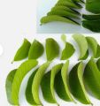 Premium Organic Dried Guava Leaves Tea-20gm. 
