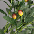 Kitchen Decoration Olive Fruit Branch Artificial Olive Branch Olive Branch Table Centerpiece Faux Olive Branch Arrangements. 