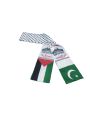 Palestine Flag Shawl Palestinian Scarf And Wrap Palestinian Flag Scarf Printing Palestinian Scarf Neckerchief With Palestine Flag. 