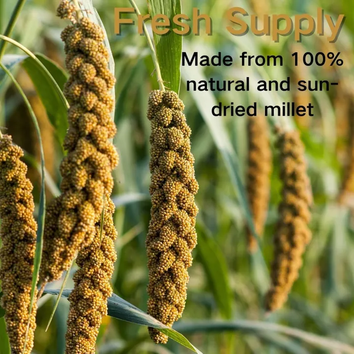 Bird%20Seed%20Parakeet%20Food%20-%20500gm%20%20Vacuum%20Sealed%20Millet%20Treat%20for%20Birds%20Parakeets%20Natural%20Sun-Dried%20Birds%20Millet%20for%20Cockatiel%20Budgie%20Finches%20Parrots%20-%20Image%205