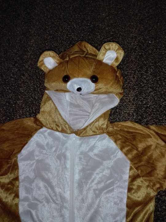 Kids%20Bear%20Costume%20-%20Image%203