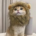 Funny Pets Clothes Cap Cute Cat Wig Lion Mane Costume Cosplay Kitten Dog Hat with Ears Fancy Party Supplies. 
