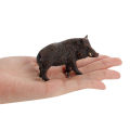 Plastic Wild Pig Figurine Kids Education Toy Action Figure for Home/Yard Decoration. 