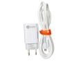 Dany iPhone Charger 20W Rapid R20-TI, PD + QC 3.0 Adapter with Cable Type C To Lightning (Type C To iPhone). 