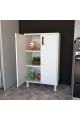Kitchen Storage Cabinet, Small 2 Door Storage Cabinet With Shelves For Multipurpose. It Can Be Customized. 
