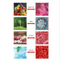Children's Microscope Science HD Biology Primary School Students 1200 Times Ultra Clear Experimental Science and Education Educational Toys. 