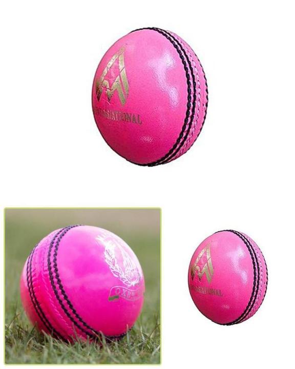 Indoor%20Rubber%20Cricket%20Ball%20-%20Pink%20-%2070gm%20-%20Image%202