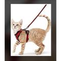 Cat Chest Harness + Leash ( High Quality ). 