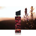 Spice Me Up - Inspired by Flora Perfumes l Perfumes l Perfume For Girls l Fragrance l Gift For Girl l Perfume For Women l Pyari Scents. 