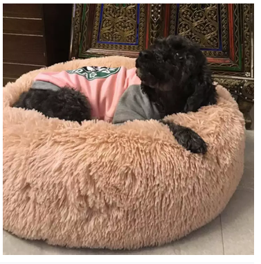 Soft%20Plush%20Round%20Pet%20Bed%20Cat%20Soft%20Bed%20Cat%20Bed%20for%20Cats%20Small%20Dogs%20-%20Image%205