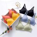 Women's Push-Up Double Padded Bra - Net & Lace - Sizes 30-38, Multi-Color. 