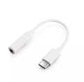 USB Type-C to 3mm Headphone Jack Converter. 
