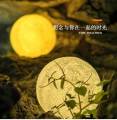 LED Moon Light Lamp Lunar Light Lamp Study Lamp Bedroom Led Bed Lamp Desk Lamp. 
