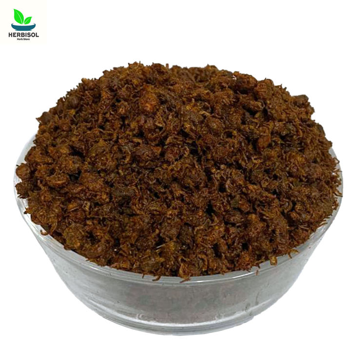 Baher Booti 50gm - Beer Bahuti - 100% Original - Ber Boti / Bair Booti / Bair Buti 50 grams by Herbisol