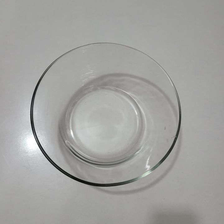 Translucent Glass Textured Large Glass Bowl |Textured Salad, Dessert Serving Bowl | Crystal Clear ...