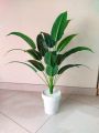 Large Artificial Plants for Home Decor Indoor 3ft Tall Faux Plants for Living Room, Office, and Indoor Spaces. 