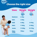 Molfix Diaper Jumbo Pack Pants, Size 5 (12-17KG-48Pcs). 