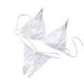 Muses 2pcs/set Erotic Women Lace See Through Triangle Cup Bra Open Crotch Briefs Underwear Set. 