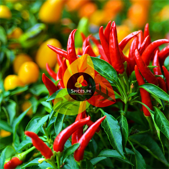 Premium%20Organic%20Red%20Chili%20Flakes%20(Dara%20Mirch)%20100%25%20Pure%20Crushed%20Red%20Chili%20for%20Pizza,%20Curries%20&%20Spice%20Blends%20%E2%80%93%20400g%20-%20Image%207