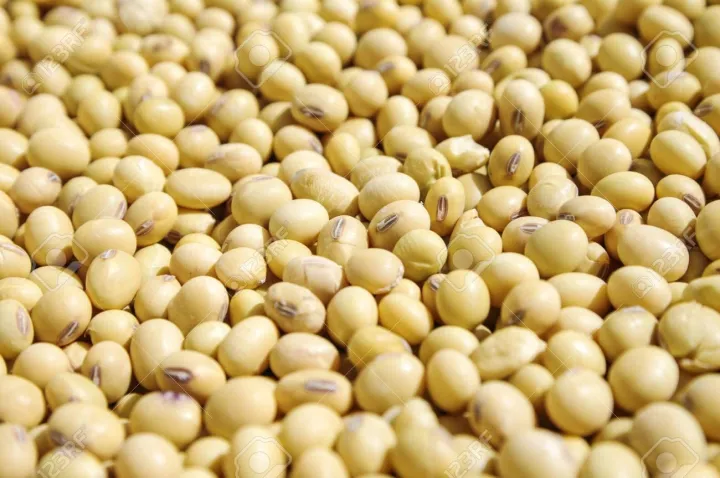 SOYA%20BEAN%201%20KILO%20GRAM%20-%20Image%202