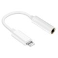 Iphone to Aux Convertor. 