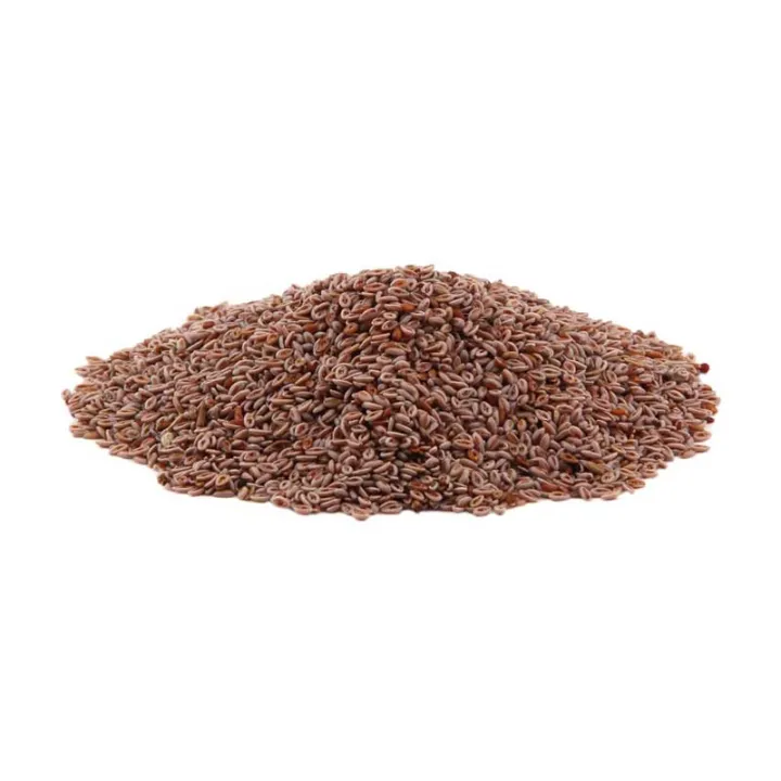 Sabut%20Ispaghol,%20Isabgol%20sabat,%20Psyllium%20Seeds%20100%20gram%20-%20Image%203